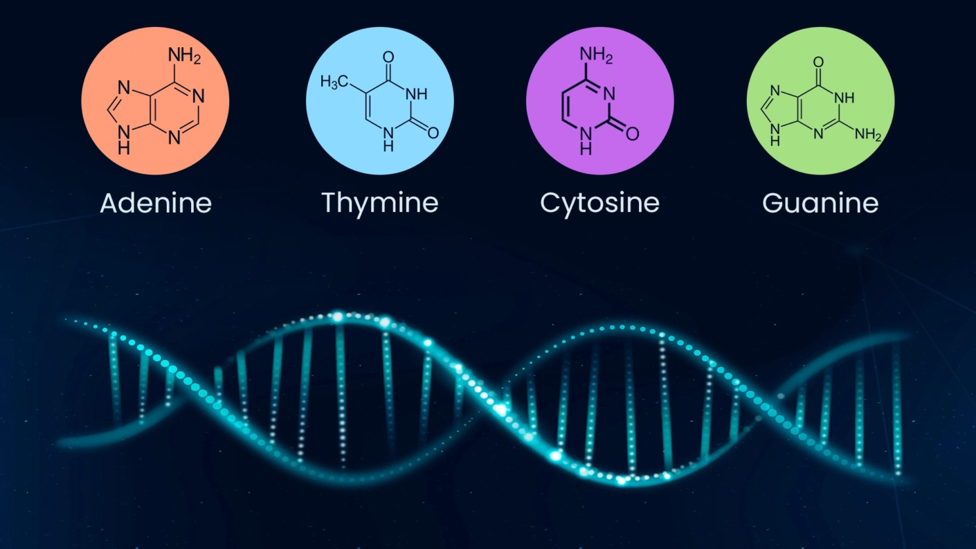 Gene Sequencing