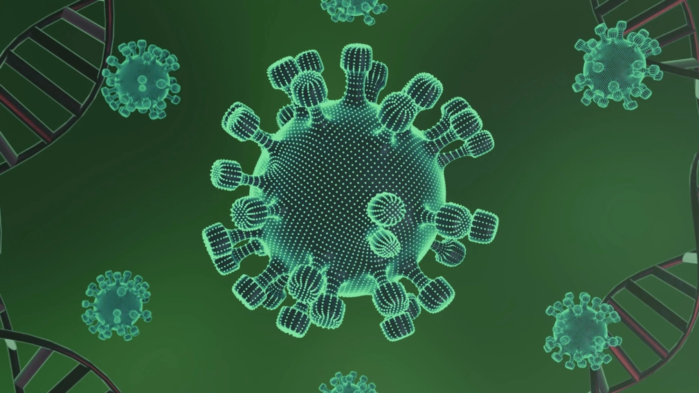 Decoding Bacterial Artificial Chromosome Essential Notes on Its Functionality