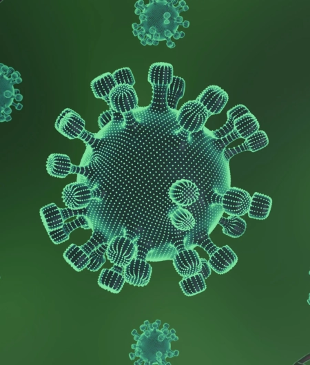 Decoding Bacterial Artificial Chromosome Essential Notes on Its Functionality