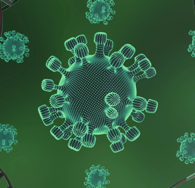 Decoding Bacterial Artificial Chromosome Essential Notes on Its Functionality