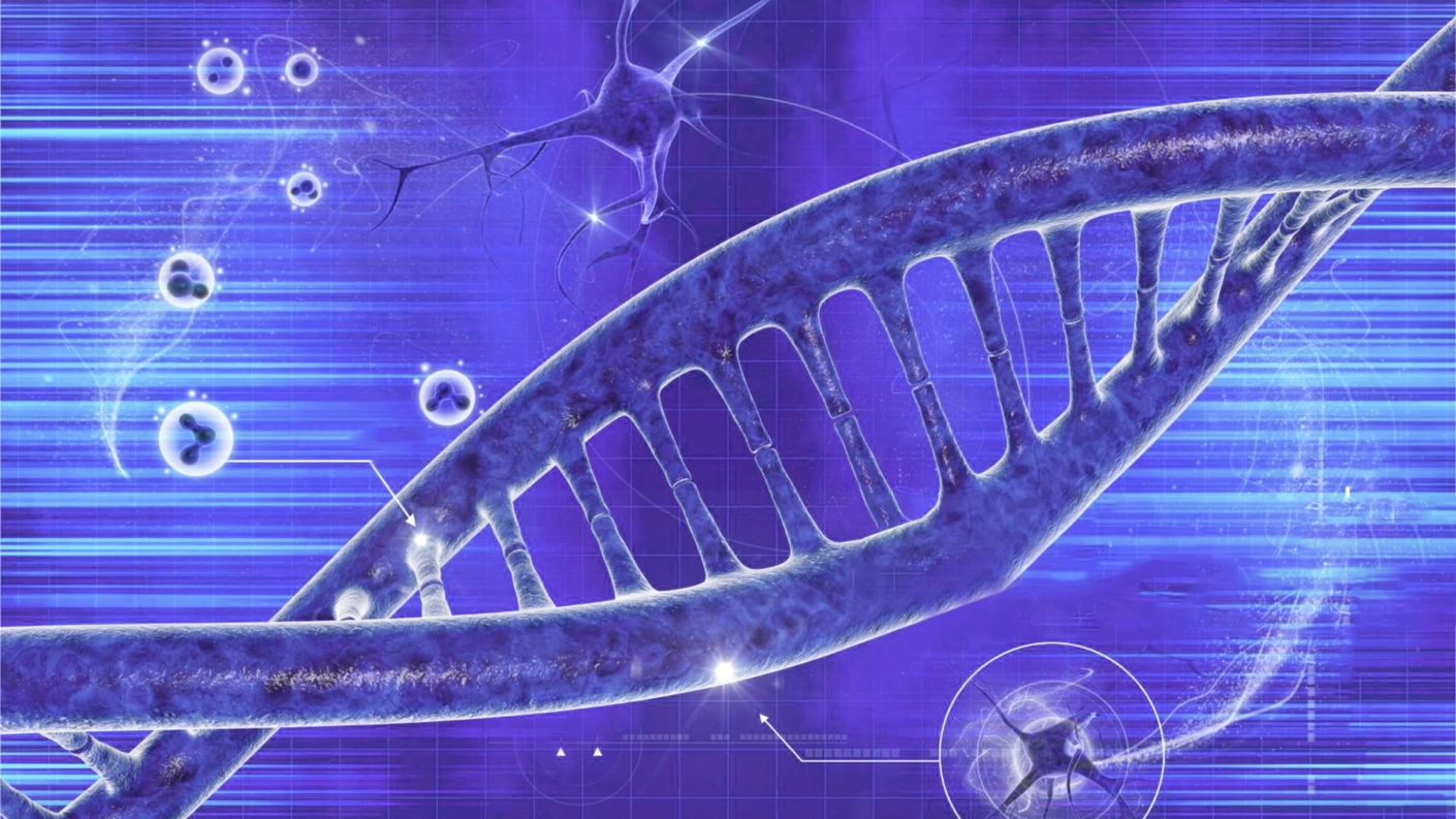 chemical composition of chromosome