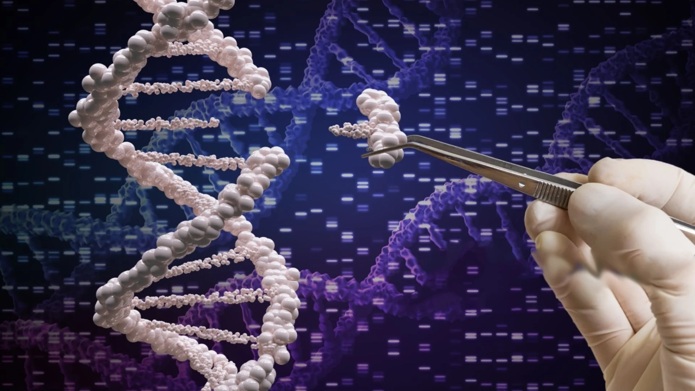 Exploring the Chain Termination Method of DNA Sequencing Unlocking the Secrets of Genetic Code