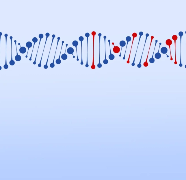 What are whole exome sequencing and whole genome sequencing