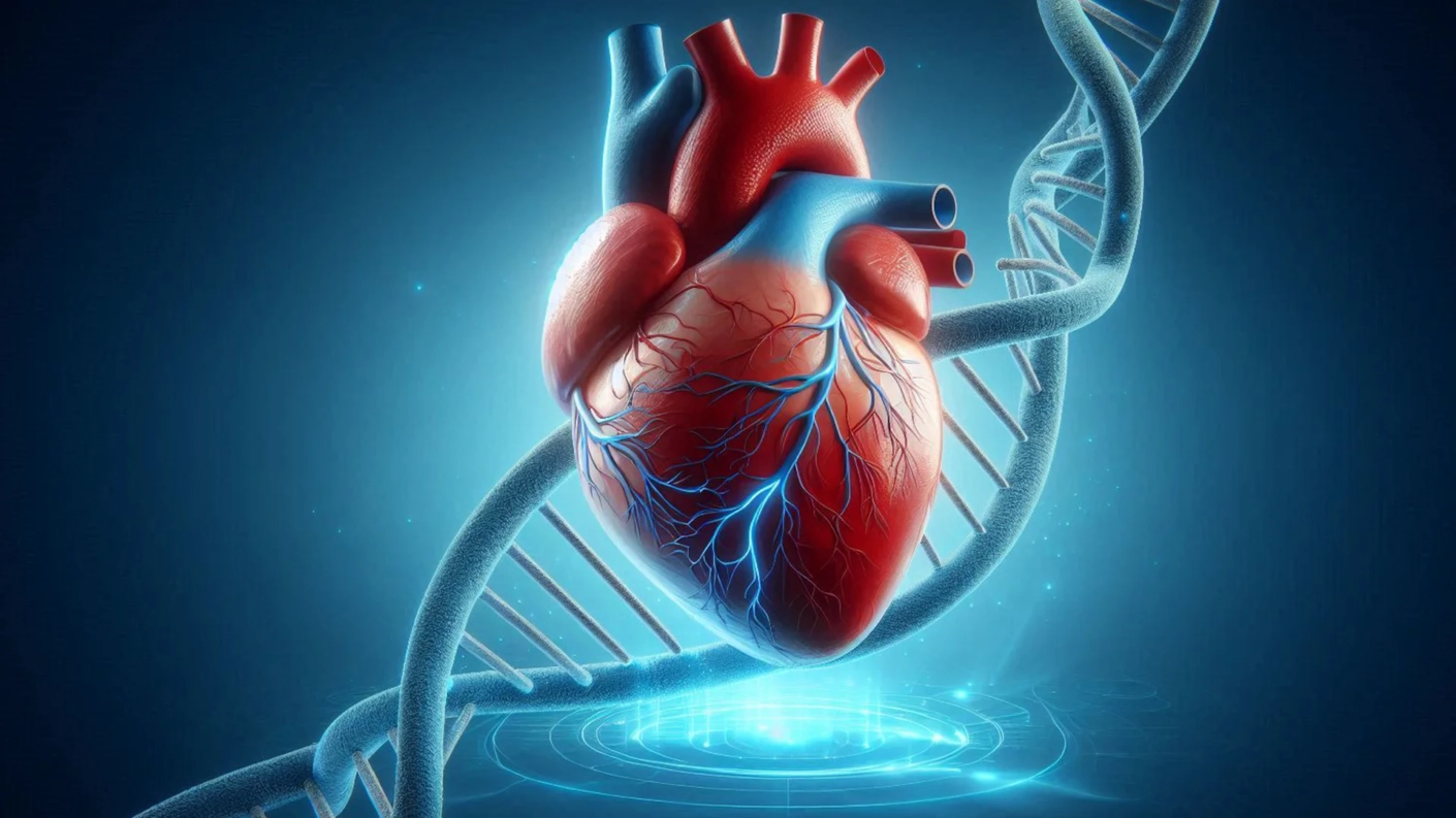 What is the role of genetics in heart disease